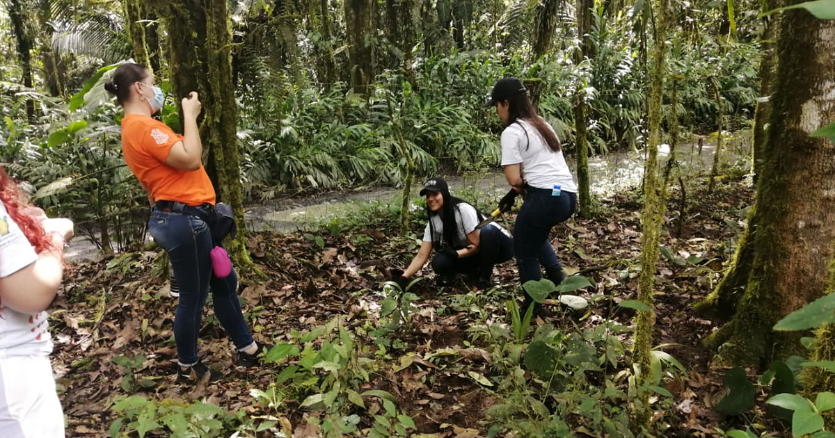 Los voluntarios de Davivienda, apoyaron las actividades de restauración ecológica en el Santuario de fauna y flora Otún Quimbaya
