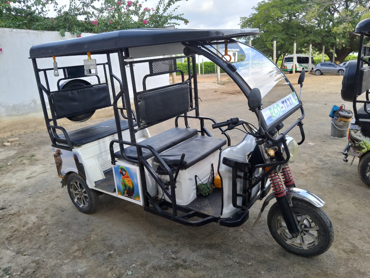 Eco taxis de Bahía Concha