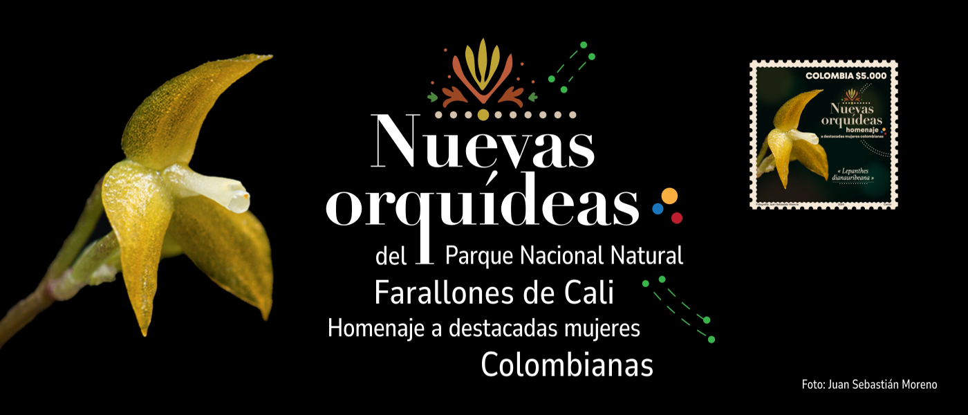 Parques Nacionales Naturales de Colombia y 4-72 se unen para Homenajear a las Mujeres con Emisión Filatélica de Orquídeas Colombianas