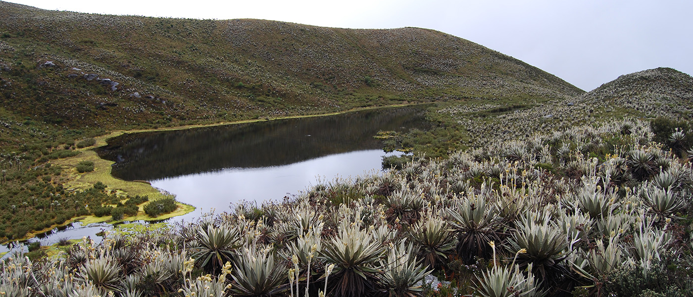 Intercambio para el fortalecimiento del turismo de naturaleza entre el PNN Sierra de la Macarena y Tinigua en el PNN Chingaza